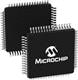 Microchip Technology PIC32CM3204GV00064-E/V2X