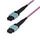 StarTech OS2MTP24BOFNP10M